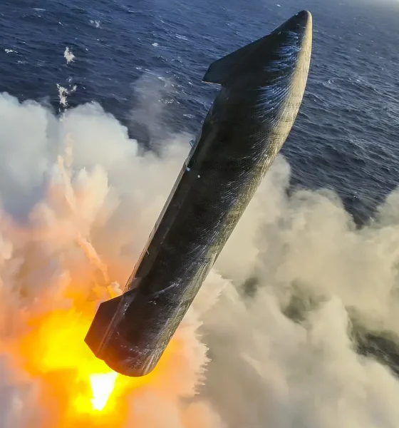 spacex starship x