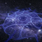 Dark Matter Cosmic Web Concept