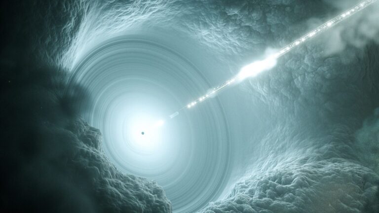 d black hole x